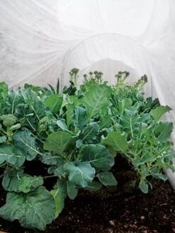 Summerweight Garden Fabric -Garden Care Shop 32644 7936 tif