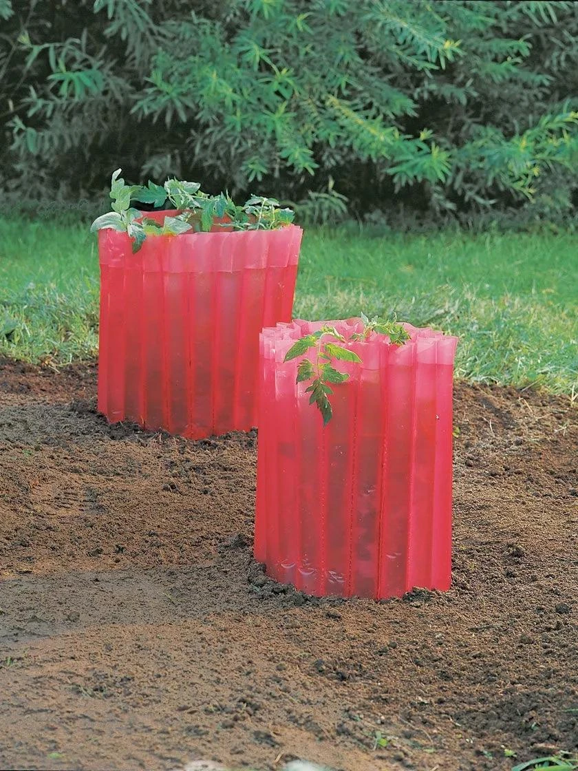 Red Tomato Teepees, Set Of 3 3 Red Tomato Teepees, Set Of 3