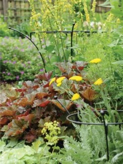 Essex Plant Supports -Garden Care Shop 37423 280 tif