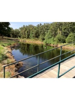 Blast, 125,000 Gallon, 12 Packets -Garden Care Shop 37425 002v 1