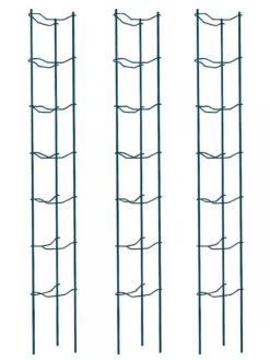 Tomato Ladders, Set Of 3 -Garden Care Shop 38184 002E psd