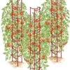 Tomato Ladders, Set Of 3 -Garden Care Shop 38185 001E psd
