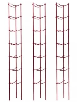 Tomato Ladders, Set Of 3 -Garden Care Shop 38185 002E psd