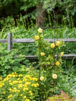 Jardin Round Obelisk, 7' -Garden Care Shop 39 530 1668 tif