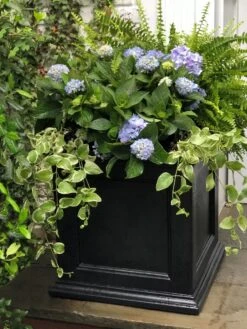 Fairfield Self-Watering Square Planter, 20” X 20” -Garden Care Shop 39 618 205V tif