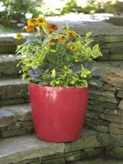Viva Round Self-Watering Rolling Planter, 17.25” Diameter -Garden Care Shop 39326 046 tif