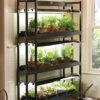 3-Tier Sunlite® Garden -Garden Care Shop 39357 004 grow lights with three shelves large tif