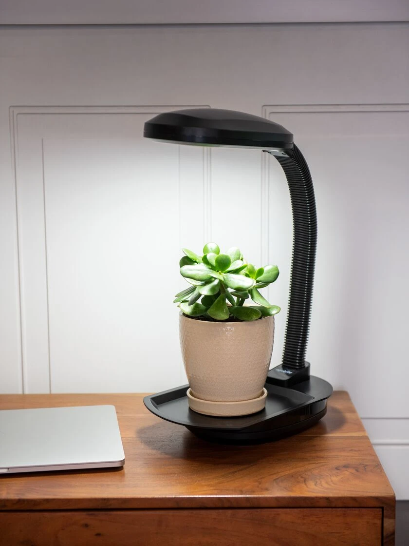 Agrobrite Desktop Plant Light 4 Agrobrite Desktop Plant Light - Image 2