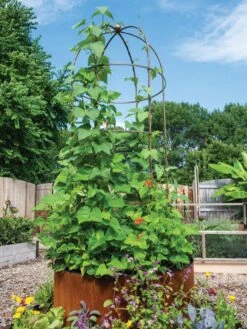 Garden Care Shop -Garden Care Shop 3 4 crop 8612997 0055