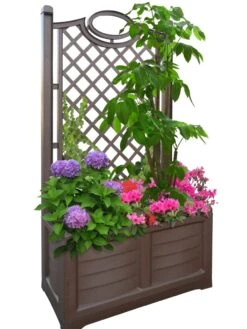 Separate Flower Box With Trellis 20 Separate Flower Box With Trellis -Garden Care Shop 3 4 crop 8613626 04V