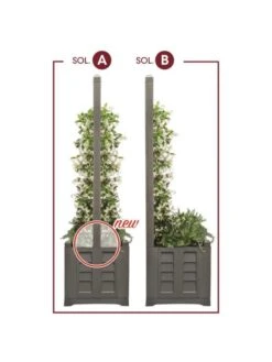 Separate Flower Box With Trellis 21 Separate Flower Box With Trellis -Garden Care Shop 3 4 crop 8613626 08V