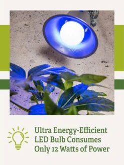 Miracle LED® Grow Light Bulb, Blue -Garden Care Shop 3 4 crop Miracle Bulb Blue 2