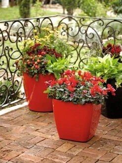 Viva Square Self-Watering Rolling Planter, 14" Diameter 8 Viva Square Self-Watering Rolling Planter, 14" Diameter -Garden Care Shop 8586699 982 tif