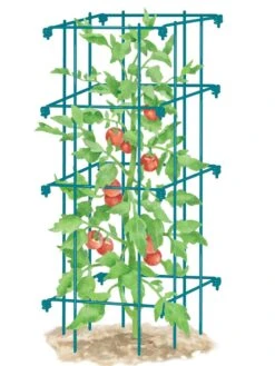 Tomato Cage, Single -Garden Care Shop 8587039 TomatoCage BLUE tif
