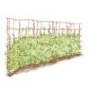 Expandable Pea Trellis -Garden Care Shop 8587061 PeaFence Red 001E tif