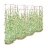 Tall Expandable Pea Trellis -Garden Care Shop 8587062 0001 RED tall expandable pea trelis tif