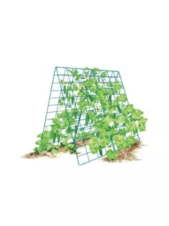 Deluxe Cucumber Trellis -Garden Care Shop 8587083 001 BLUE Cukes two sided deluxe cucumber trellis support storm blue 3 4