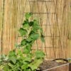 Wire A-Frame Trellis -Garden Care Shop 8587104 526 tif