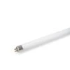 T5 Replacement Bulb -Garden Care Shop 8587296 156 tif