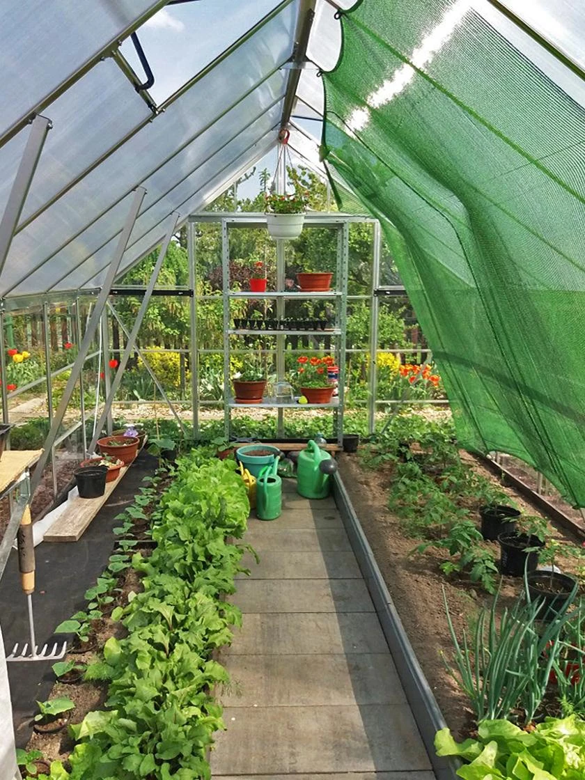 Canopia® By Palram Balance Greenhouse, 8' X 12' 13 Canopia® By Palram Balance Greenhouse, 8' X 12' - Image 11