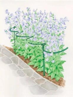 Tidy Path Supports -Garden Care Shop 8588403 003 1