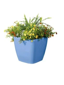 Viva Square Self-Watering Rolling Planter, 14" Diameter 9 Viva Square Self-Watering Rolling Planter, 14" Diameter -Garden Care Shop 8589777BL 6080 tif