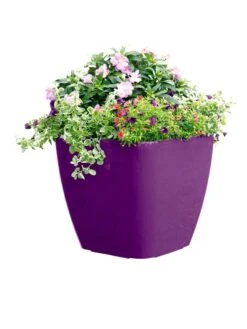 Viva Square Self-Watering Rolling Planter, 17.5" Diameter -Garden Care Shop 8589778PR 6126 tif