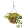 AquaSav™ Oxford Hanging Basket, 14" -Garden Care Shop 8589789 028 tif