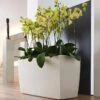 Lechuza® Cararo Rectangular Indoor Planter With Casters 1 Lechuza® Cararo Rectangular Indoor Planter With Casters -Garden Care Shop 8590295 02v lechuza cararo rectangular indoor planter with casters
