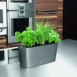 Lechuza® Delta Self-Watering Windowsill Planters 13 Lechuza® Delta Self-Watering Windowsill Planters -Garden Care Shop 8590298 02V tif