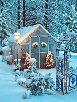 Canopia® By Palram Harmony™ Snap & Grow Greenhouse, 8' -Garden Care Shop 8591048 06V jpg