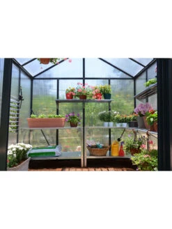 Canopia® By Palram Glory™ Greenhouse, 8' -Garden Care Shop 8591547 02v
