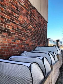 Row Shelter Accelerator -Garden Care Shop 8591990 01IN tif