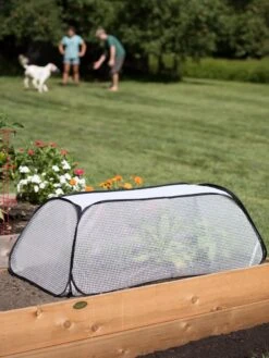 Garden Care Shop -Garden Care Shop 8591990 2182 tif