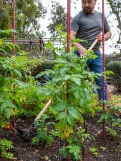 Gardener's Lifetime Long-Handled Double Tool -Garden Care Shop 8592107 2481 tif