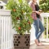 Gardener's Revolution® Tomato Planter 2 Gardener's Revolution® Tomato Planter -Garden Care Shop 8592159 406 001E tif