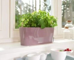 Lechuza® Delta Self-Watering Windowsill Planters 14 Lechuza® Delta Self-Watering Windowsill Planters -Garden Care Shop 8592361 01V tif