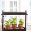 Micro Grow Light Garden 1 Micro Grow Light Garden -Garden Care Shop 8593235 2290 tif