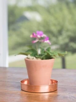 Extra Small Round Copper Plant Tray, 8" -Garden Care Shop 8593528 4522 tif