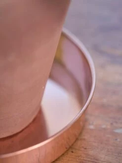 Extra Small Round Copper Plant Tray, 8" -Garden Care Shop 8593528 4529 tif