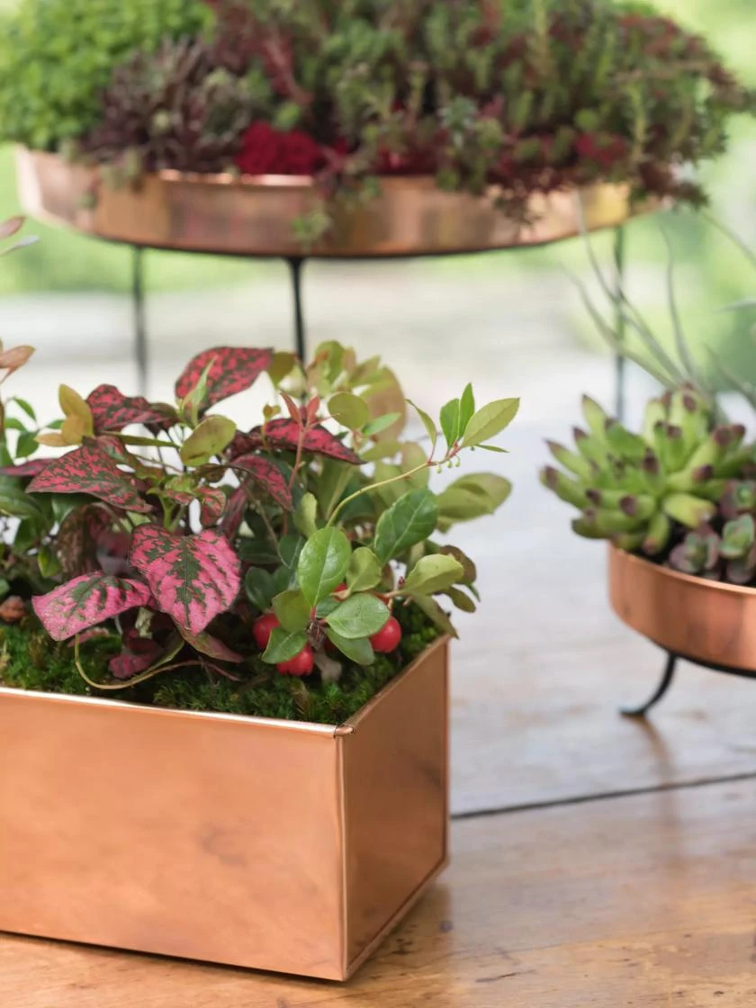 Tall Rectangular Copper Plant Tray, 18" X 5" X 4" 4 Tall Rectangular Copper Plant Tray, 18" X 5" X 4" - Image 2