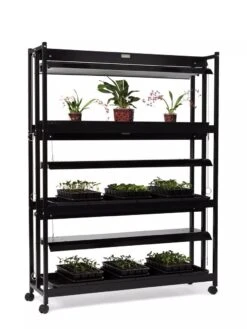 High Intensity 3-Tier SunLite® Garden 13 High Intensity 3-Tier SunLite® Garden -Garden Care Shop 8593944 1608 tif