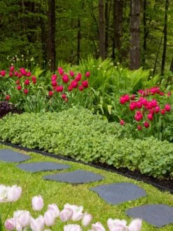 Recycled Rubber Flagstone Stepping Stone 18 Recycled Rubber Flagstone Stepping Stone -Garden Care Shop 8594282 518 tif