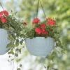 Weave Self-Watering Hanging Basket, 10" -Garden Care Shop 8594316 2079 tif