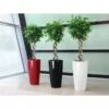 Lechuza® Rondo Self-Watering Planters -Garden Care Shop 8594586 01V tif
