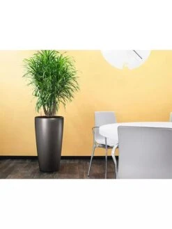 Lechuza® Rondo Self-Watering Planters -Garden Care Shop 8594586 02V tif