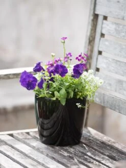 Viva Round Self-Watering Planter, 7" Diameter 11 Viva Round Self-Watering Planter, 7" Diameter -Garden Care Shop 8595222 1140 tif