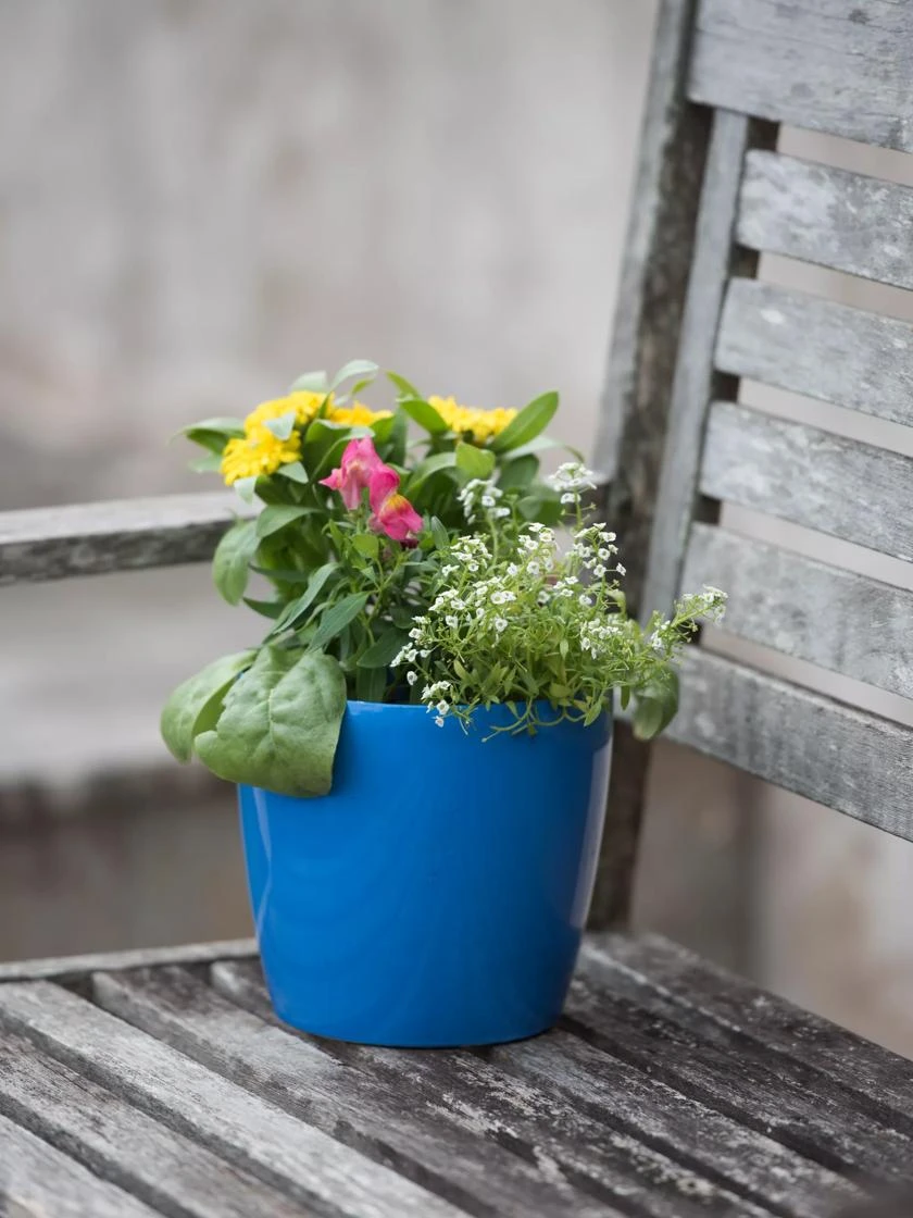 Viva Round Self-Watering Planter, 7" Diameter 5 Viva Round Self-Watering Planter, 7" Diameter - Image 3