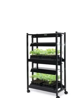 LED SunLite® Compact 2-Tier Garden 12 LED SunLite® Compact 2-Tier Garden -Garden Care Shop 8595556 10132 tif