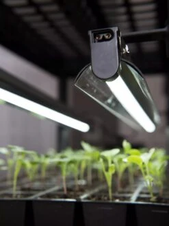 LED Stack-n-Grow Lights - Base Unit 7 LED Stack-n-Grow Lights - Base Unit -Garden Care Shop 8595770 7346 tif